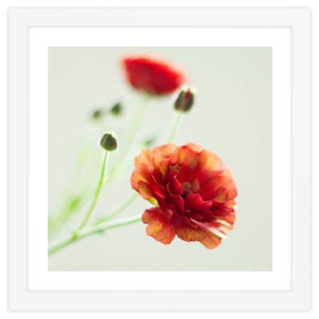 Ramka biała HEN 1 30x30 cm