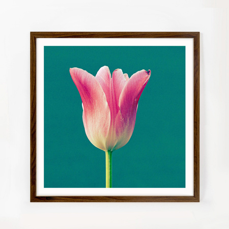 Ramka brązowa HEN 4 50x50 cm