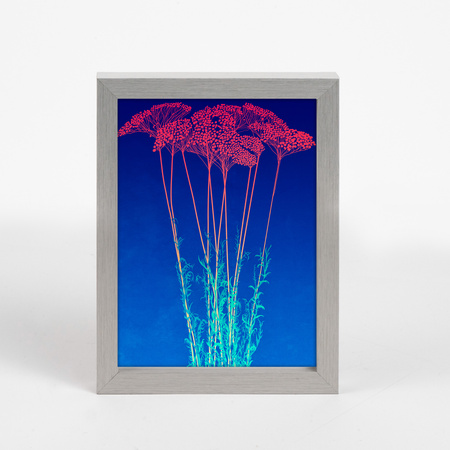 Ramka Srebrna LUX S 13x18 cm