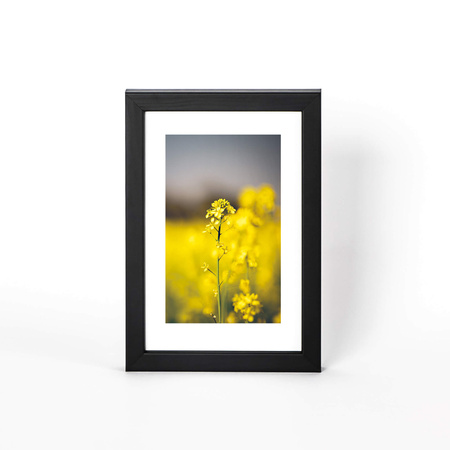 Ramka drewniana PINIA 2 10x15 cm