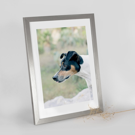 Ramka srebrna HEN S 30x40 cm