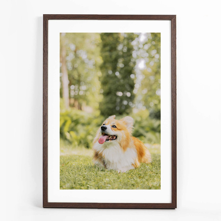 Ramka brązowa FDM 6 40x60 cm