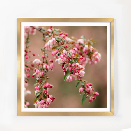 Ramka złota HEN Z 40x40 cm