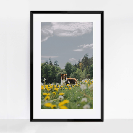 Ramka czarna HEN 2 61x91,5 cm