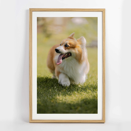 Ramka FDM 02 kolor dębowy 40x60 cm