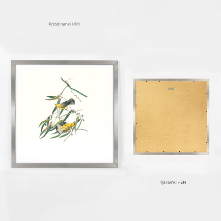 Ramka srebrna HEN S 50x50 cm