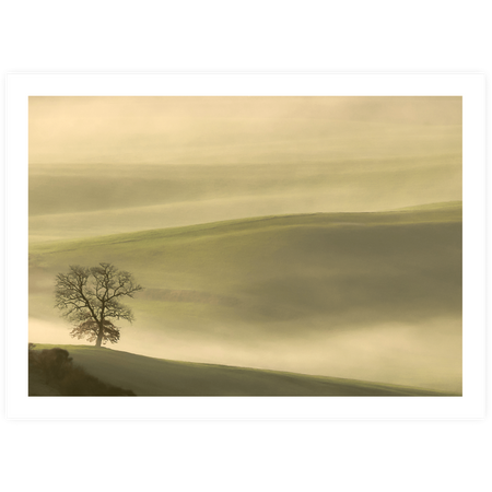 Zestaw plakatów Forest Morning + zestaw ramek z litego drewna w kolorze czarnym