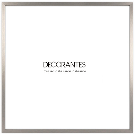 Ramka Srebrna LUX S 50x50 cm