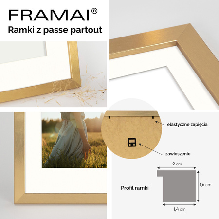 Ramka złota HEN PASS Z z passe-partout – rozmiar 50x70 cm (okienko 40x60 cm)