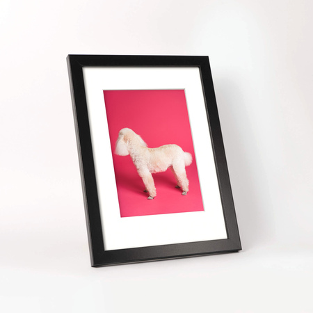 Ramka czarna HEN PASS 2 z passe-partout – rozmiar 21x29,7 cm (okienko 15x21 cm)