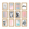 Zestaw naturanych ramek na 12 zdjęć PINIA 00 GF0026