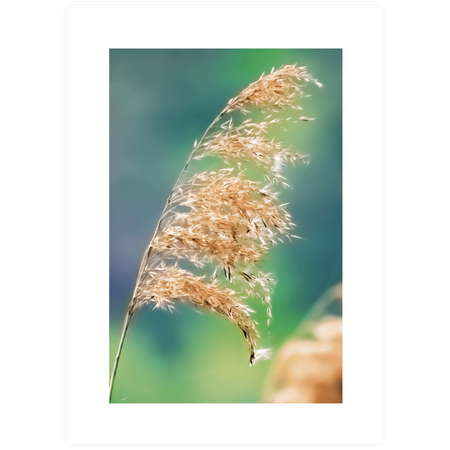 Zestaw plakatów Green Start w ramkach w kolorze naturalnego drewna