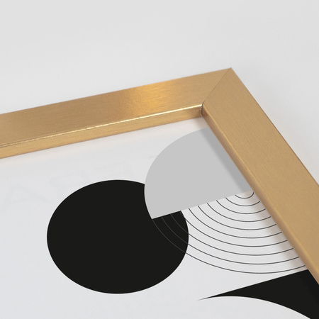 Pakiet 5 szt. złotych ramek HEN Z 21x29,7 cm