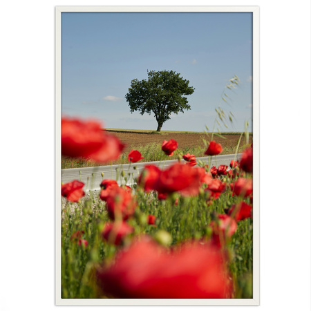 Ramka biała FDM 1 40x50 cm