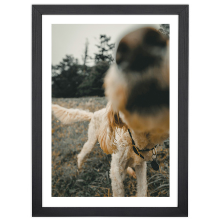 Zestaw czarnych ramek na 14 zdjęć PINIA 2 GF0001