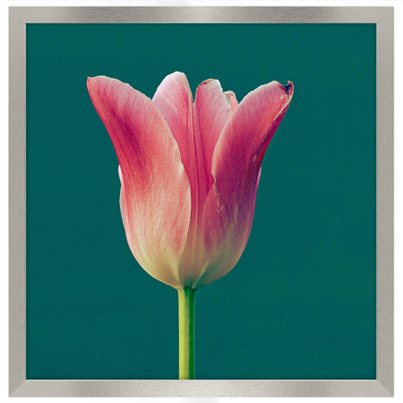 Ramka srebrna HEN S 40x40 cm