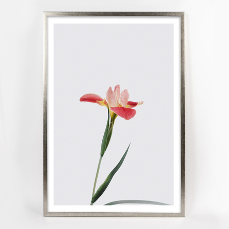 Ramka drewniana UNO S Srebrna 40x60 cm