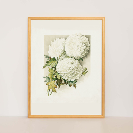 Pakiet ramek drewnianych 5 szt. DRWA 0 PAK 30x40 cm