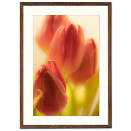 Ramka brązowa HEN PASS 4 z passe-partout – rozmiar 50x70 cm (okienko 40x60 cm)