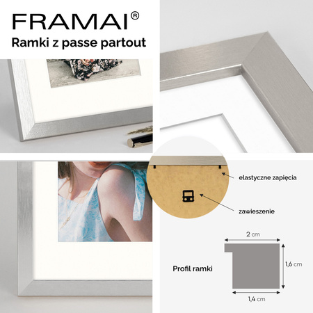 Ramka srebrna HEN PASS S z passe-partout – rozmiar 60x80 cm (okienko 50x70 cm)