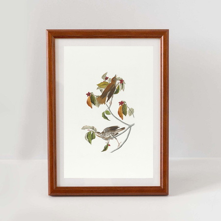 Pakiet ramek drewnianych 5 szt. DRWA 5 PAK 13x18 cm