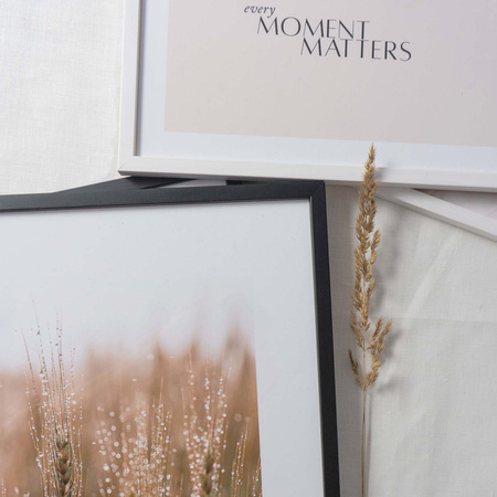 Komplet obrazów Nature w ramie