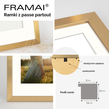 Ramka złota HEN PASS Z z passe-partout – rozmiar 21x29,7 cm (okienko 15x21 cm)