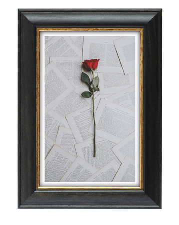 Ramka drewniana DRI S 2 50x60 cm