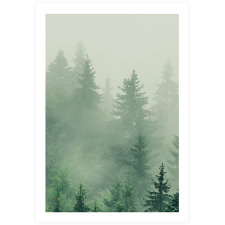 Zestaw plakatów Forest Morning + zestaw ramek z litego drewna w kolorze czarnym