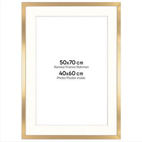 Ramka złota HEN PASS Z z passe-partout – rozmiar 50x70 cm (okienko 40x60 cm)